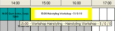 This figure shows the Workshop Hairstyling