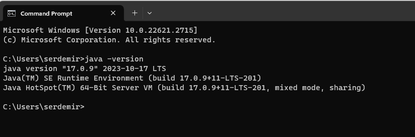 This image shows the command prompt window.