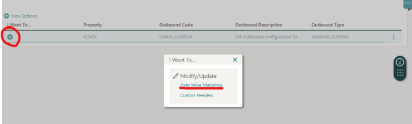 This image shows data Value Mappings edit screen This image shows data Value Mappings edit screen
