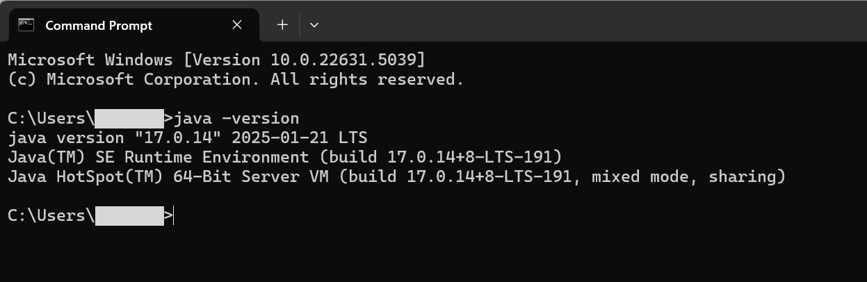 This image shows the command prompt window.