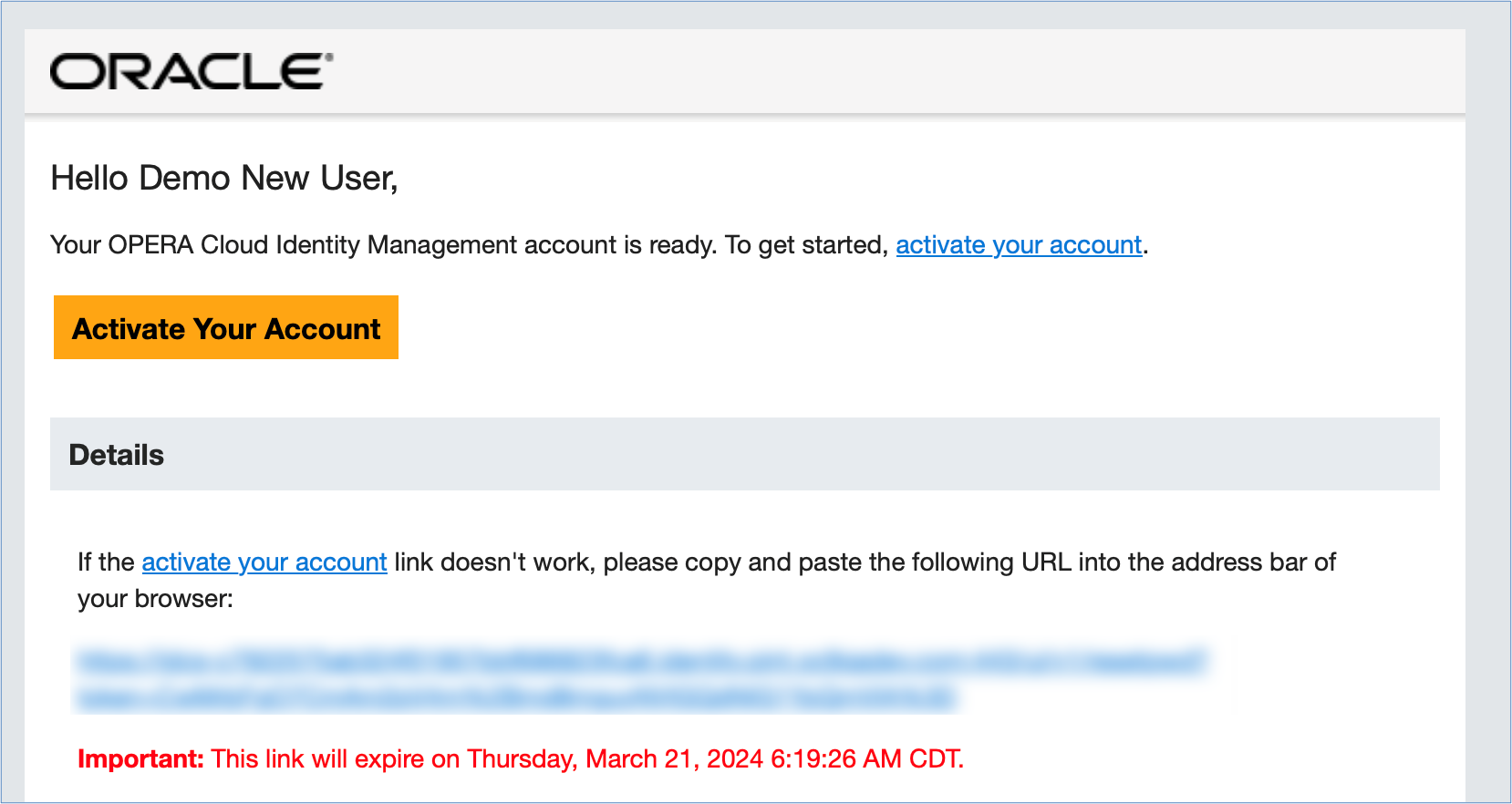 This image shows the activation email.