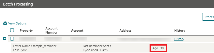 Image shows Batch Processing screen.