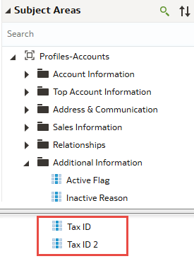 The Profiles-Accounts subject area with the new attributes under the Additional Information subfolder.