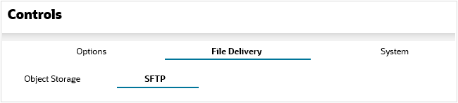 The Controls screen showing primary Options, File Delivery, System tabs and Object Storage, and SFTP sub-tabs.