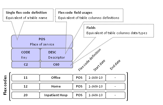 Flex Code System :: Oracle Health Insurance Enterprise Policy