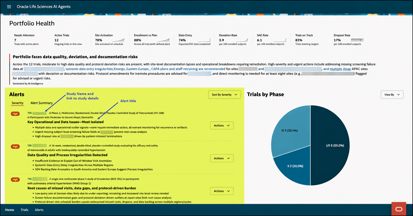 Portfolio Health overview - Portfolio alerts highlighted