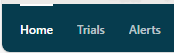 Tabs - Shows the Home tab highlighted
