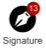 Signature widget