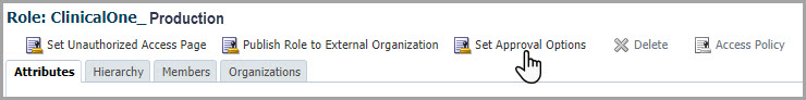 The Set Approval Options button appears in a toolbar below the name of the role