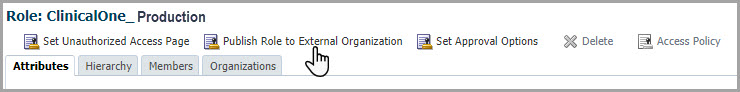 The Publish Role to External Organization button appears in a toolbar below the name of the role