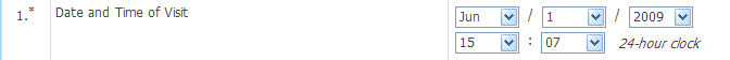 Datetime control display in the InForm application