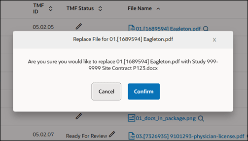 File replacement confirmation modal specifies the original file name and the name of the replacement file