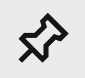 pin icon