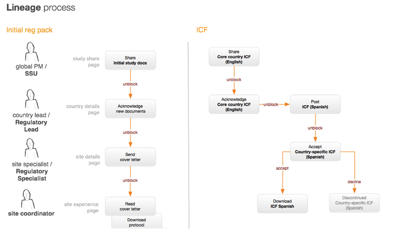 Lineage process Lineage process