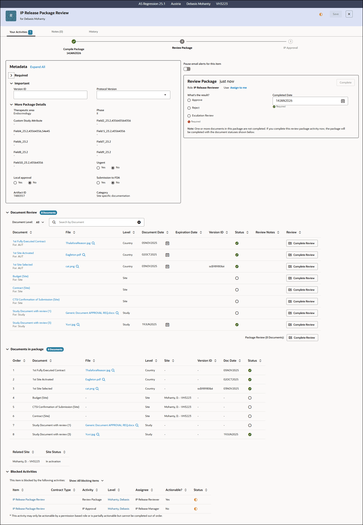 Example IP Release Package drawer showing Review Package step with accordion sections expanded to display documents and blocking activities