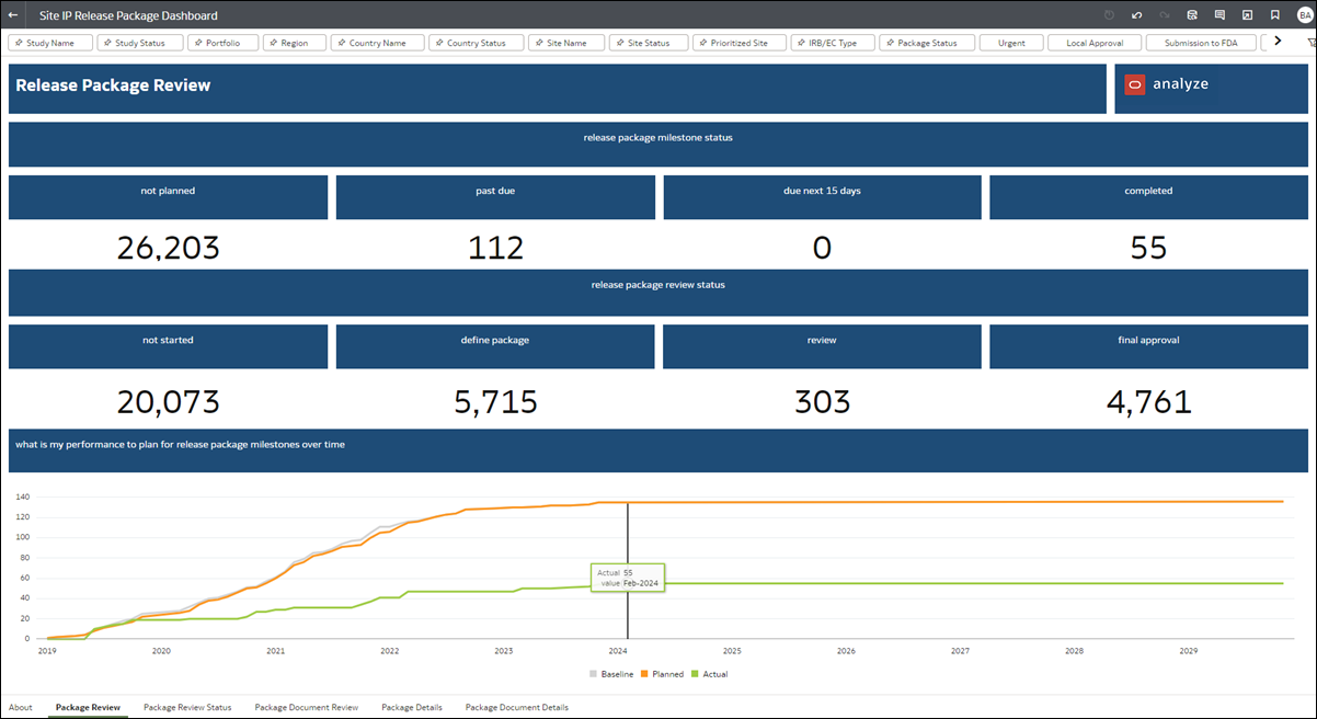 Site IP Release Package Dashboard report showing the Release Package Review worksheet