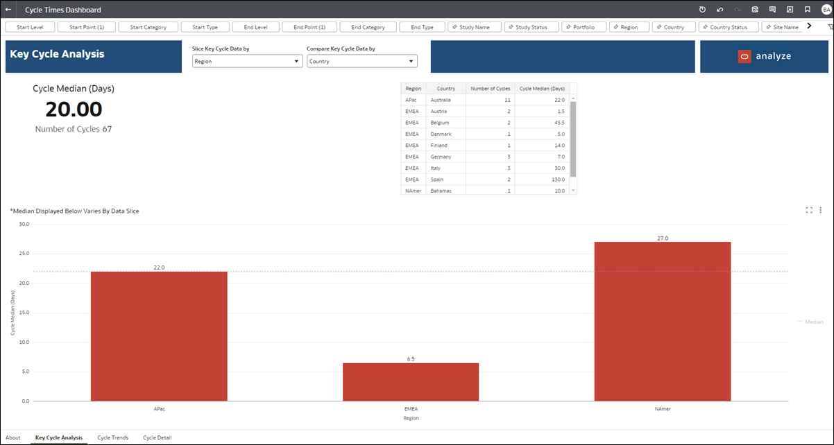 Key Cycle Analysis dashboard worksheet