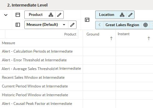 Intermediate Level View