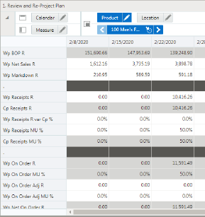 Review and Re-Project Plan View