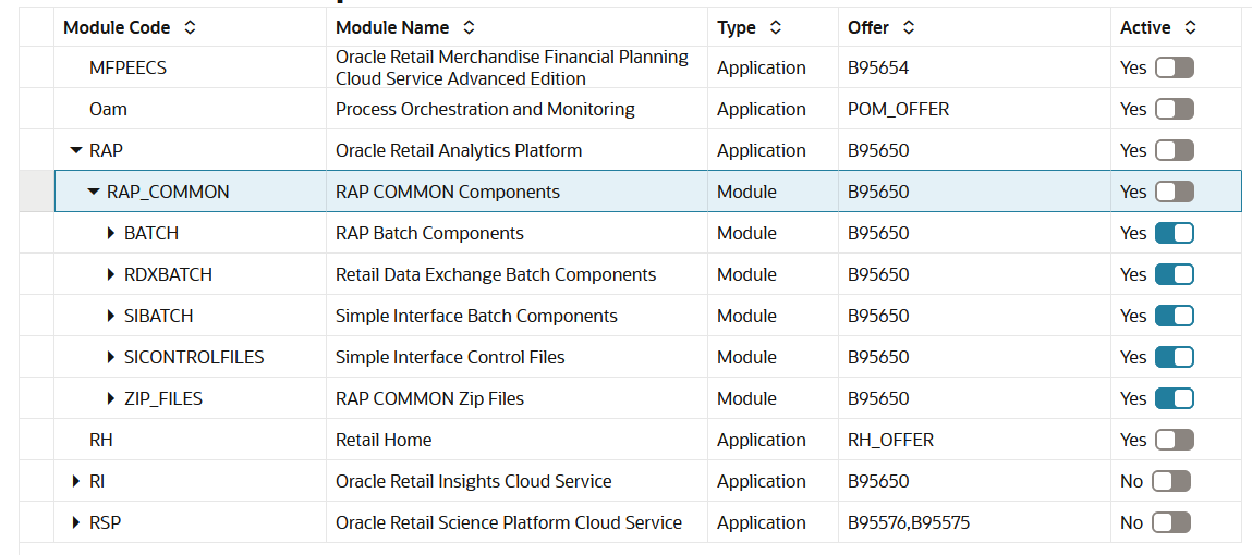 Example of RAP Common Modules