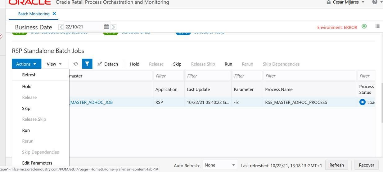 RSP Standalone Batch Jobs Actions Menu