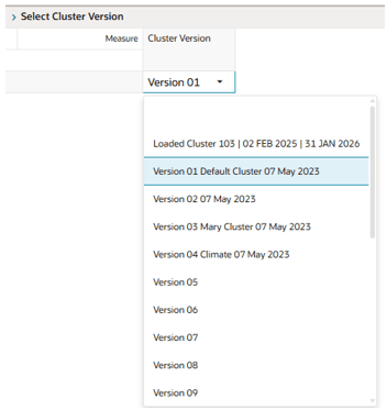 Select Cluster Version View