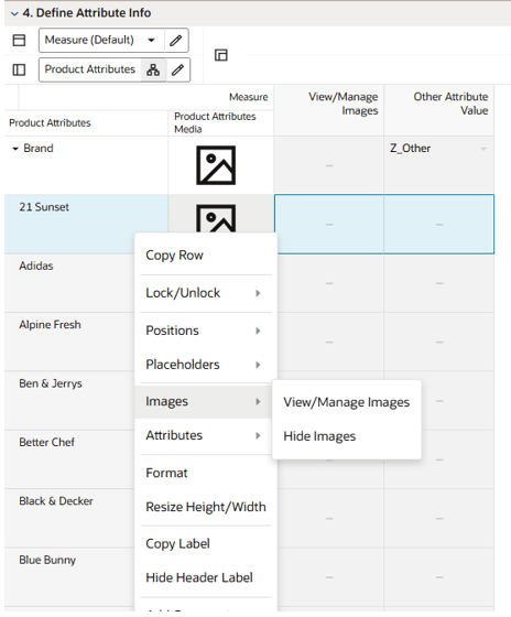 Define Attribute Info View