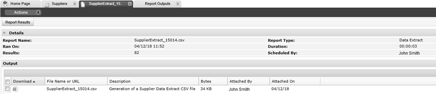 Thisshows the Data Extract Report Output Details page.