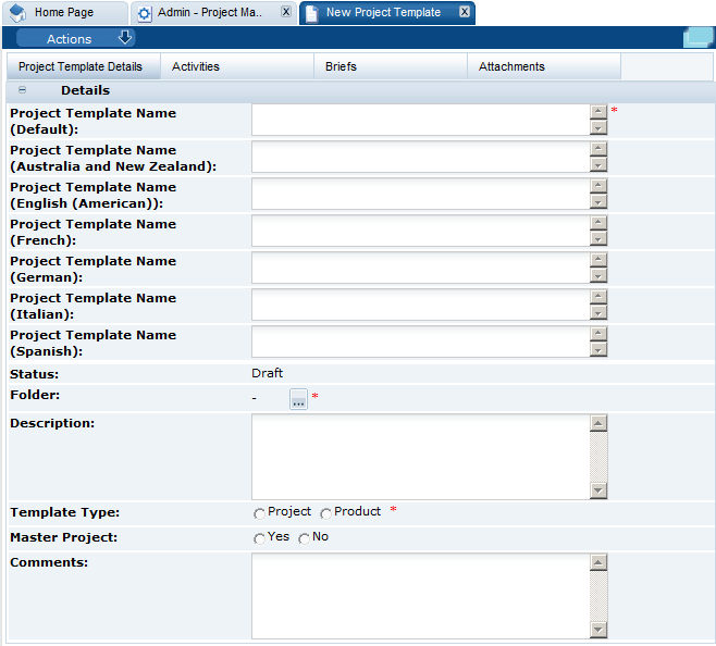 This figure shows the New Project Template page.