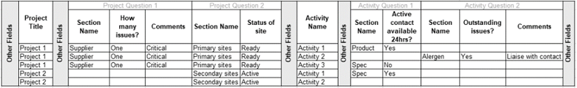 This figure shows the Project & Activity Brief Extract layout.