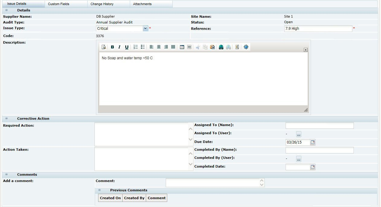 This figure shows the Audits/Visits Issues page.