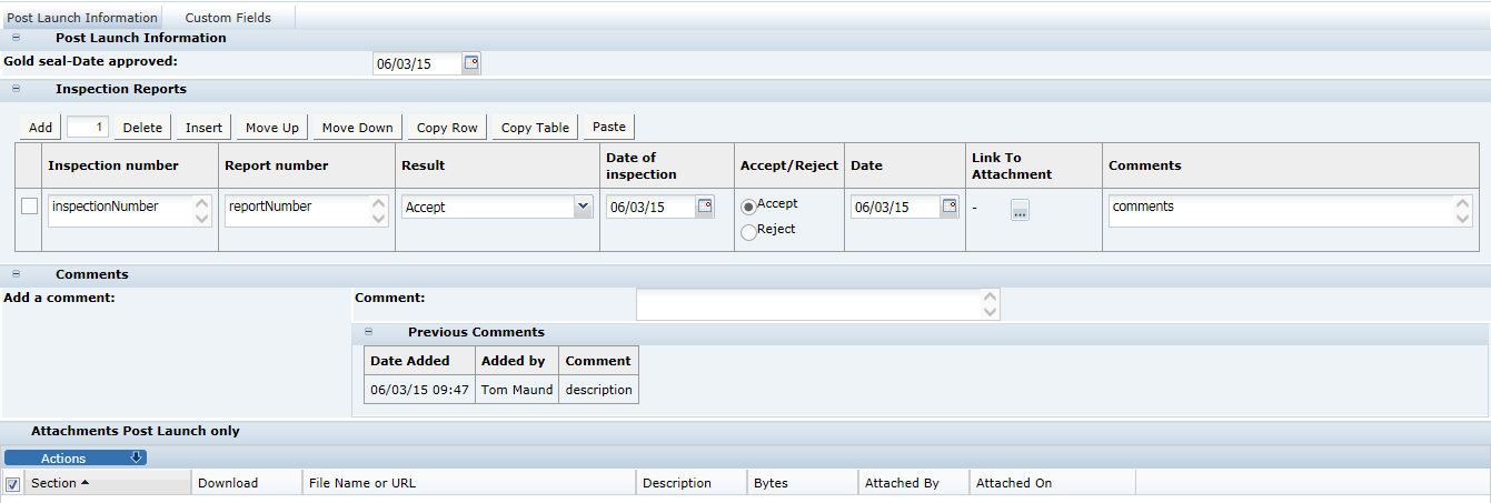 This figure shows the CNF Post Launch Information page.