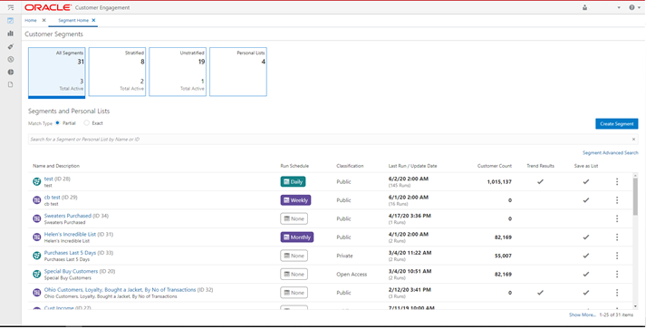 Example of Customer Segments screen.