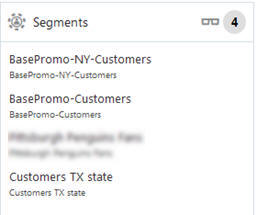 This figure shows the Customer Segments