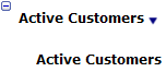 This figure shows the Active Customers