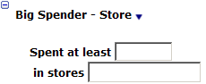 This figure shows the Big Spender Store