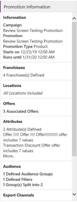 This figure shows the Promotion Information Panel