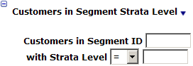 This figure shows the Customers in Segment Strata Level