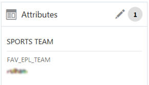 This figure shows the Customer Attributes