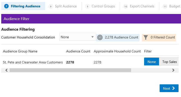 This figure shows the Filtering Audience Tab