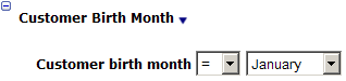 This figure shows the Customer Birth Month This figure shows the Customer Birth Month