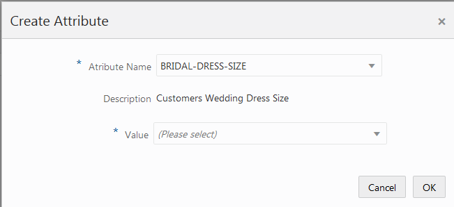 This figure shows the Create Attributes dialog