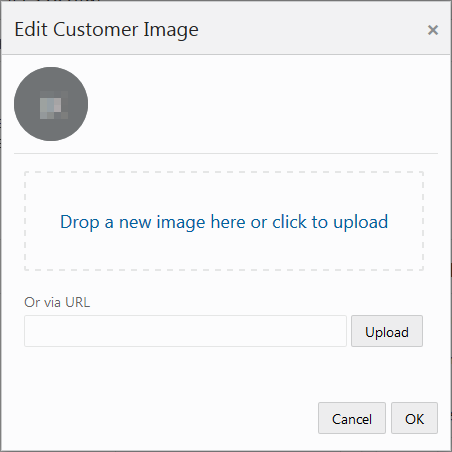 This figure shows the Edit Customer Image