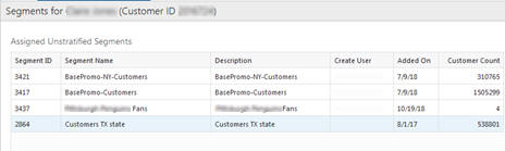 This figure shows the Segments for Customer