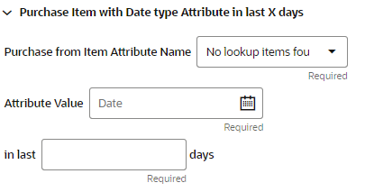 This figure shows the Purchased Item with Date Type Attribute in Last X Days