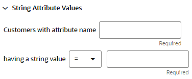 This figure shows the String Attribute Values This figure shows the String Attribute Values
