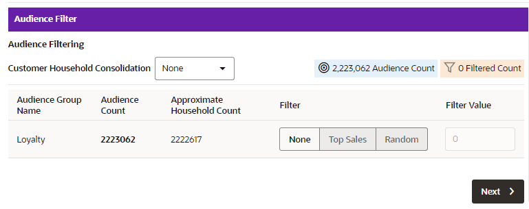 This figure shows the Filtering Audience Tab