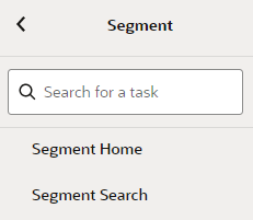 This figure shows the Segment Task List