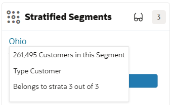 This figure shows the Stratified Segments Tool Tip This figure shows the Stratified Segments Tool Tip
