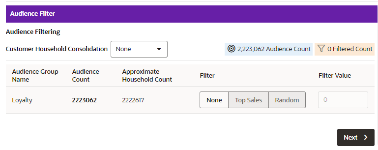 This figure shows the Filtering Audience Tab